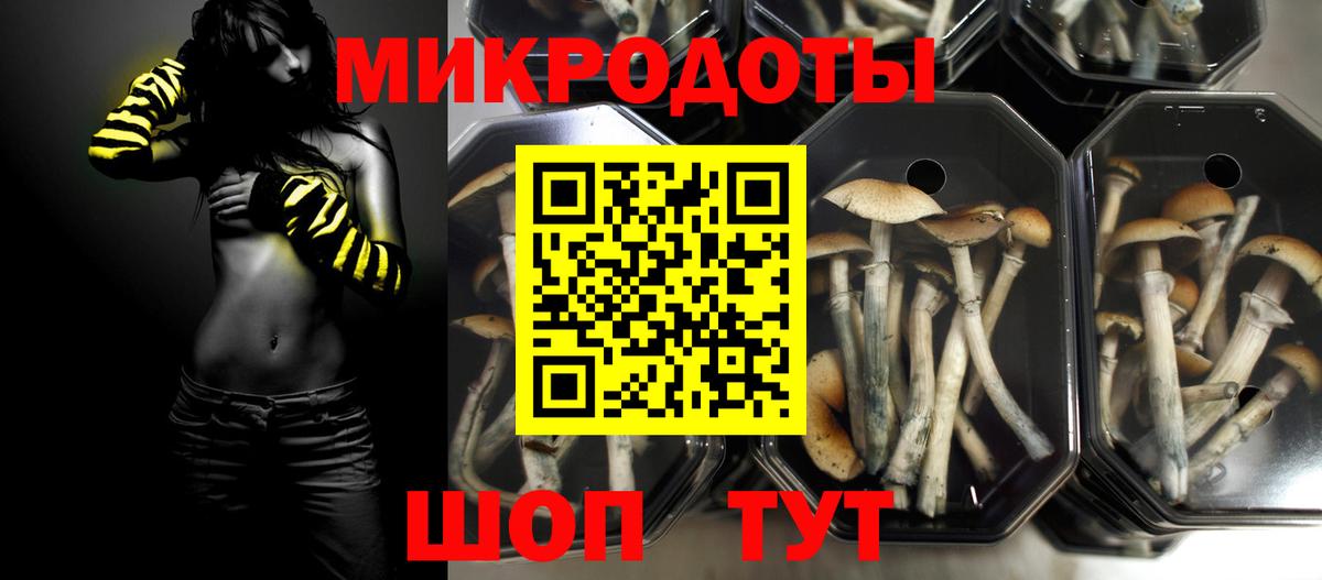 Псилоцибиновые грибы GOLDEN TEACHER Каменка