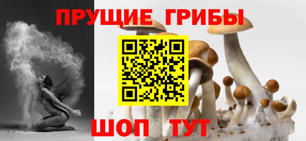 Псилоцибиновые грибы ЛСД  Вход с VPN  Каменка 